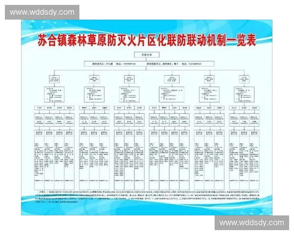 围绕区域联防协同机制构建跨部门跨层级综合治理新格局提升效能